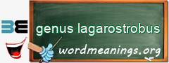 WordMeaning blackboard for genus lagarostrobus